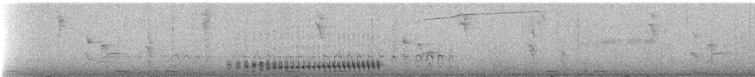 Brustband-Ameisenfänger - ML643533886