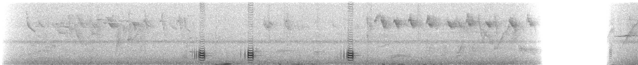 Grisin du Brésil - ML643534089