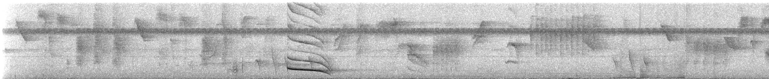 Black-headed Berryeater - ML643534301