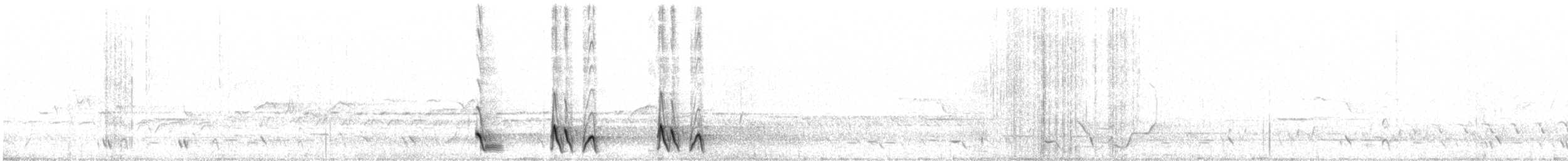 Schwarzkehl-Honigfresser - ML643534382