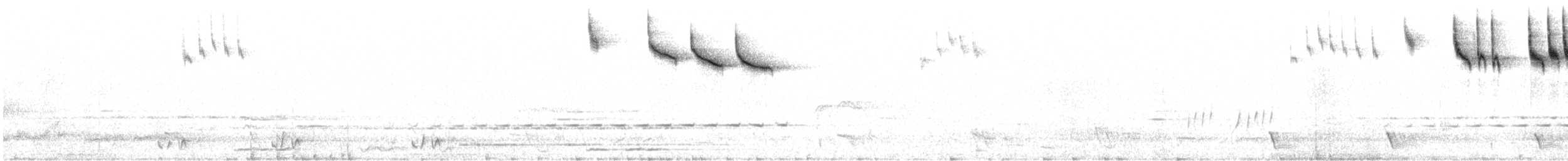 Streifengrasschlüpfer - ML643534399