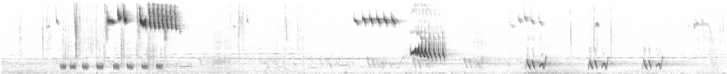 Streifengrasschlüpfer - ML643534400