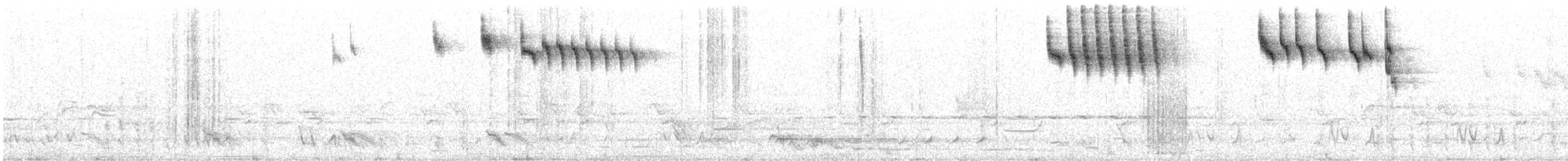 Streifengrasschlüpfer - ML643534401