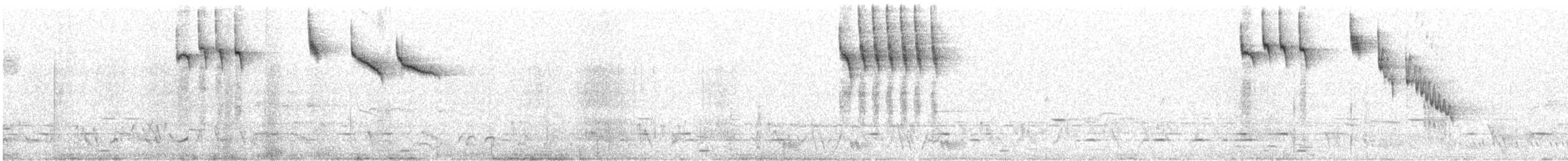 Streifengrasschlüpfer - ML643534402
