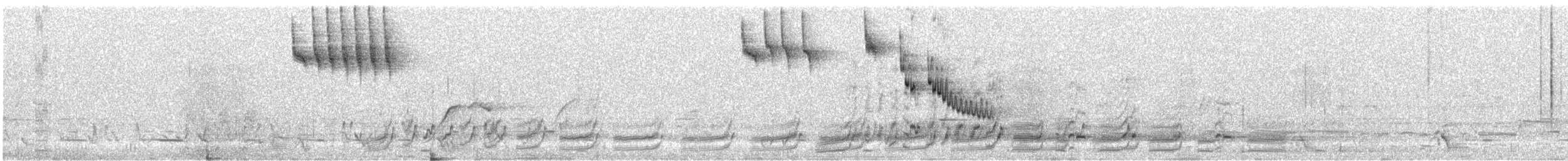 Streifengrasschlüpfer - ML643534403