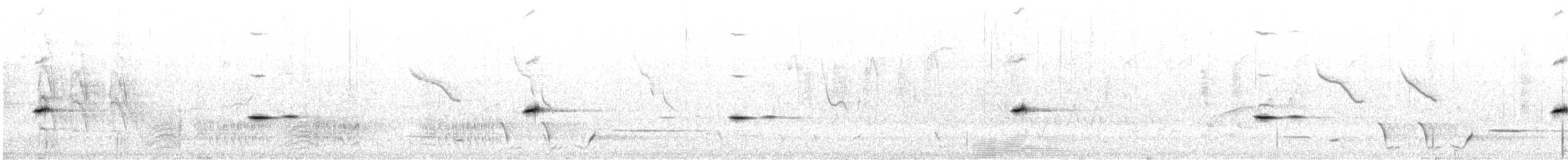 Fleckenpanthervogel - ML643534418