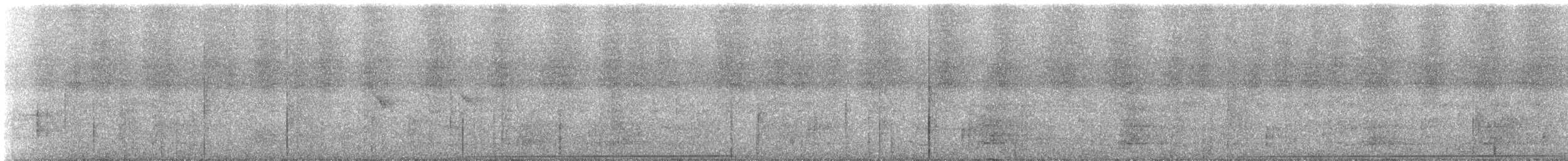 チャバラアメリカジカッコウ - ML643534430