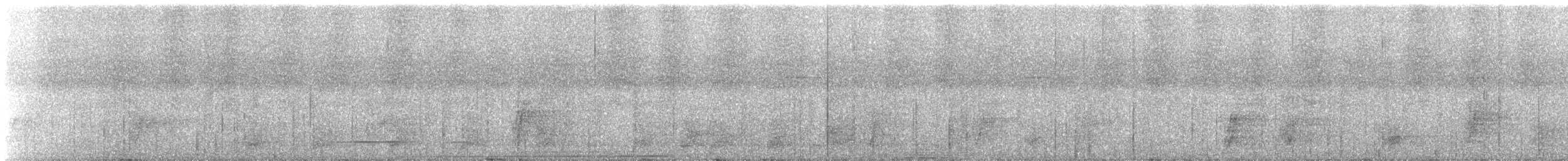 チャバラアメリカジカッコウ - ML643534431
