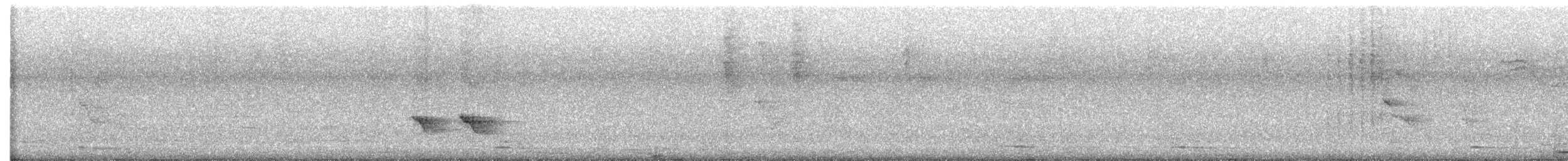 ボルチモアムクドリモドキ - ML643534439