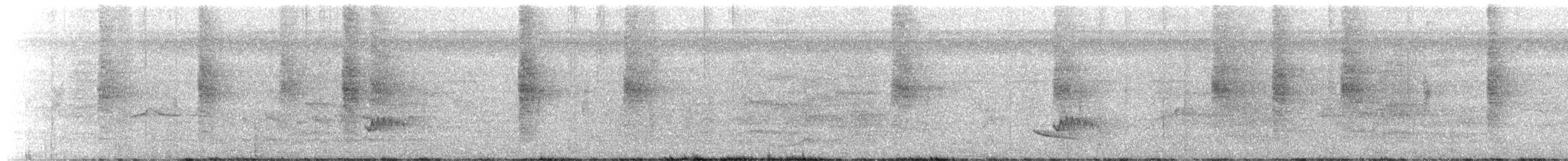 Dusky-billed Parrotlet - ML643534601