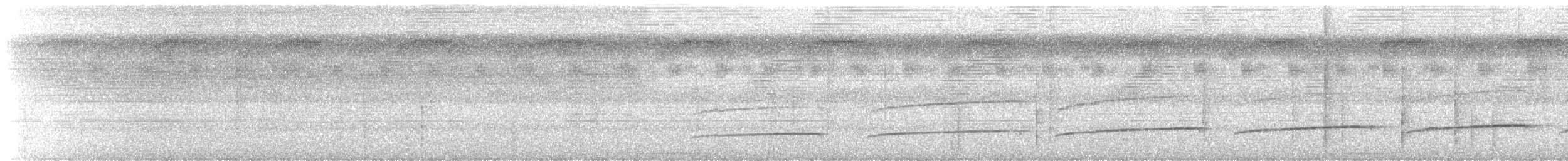 Common Scale-backed Antbird - ML643534603