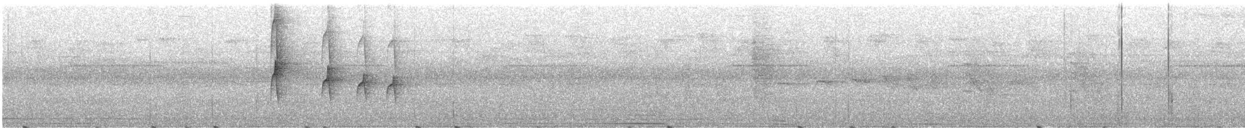 Spotted Antbird - ML643535482