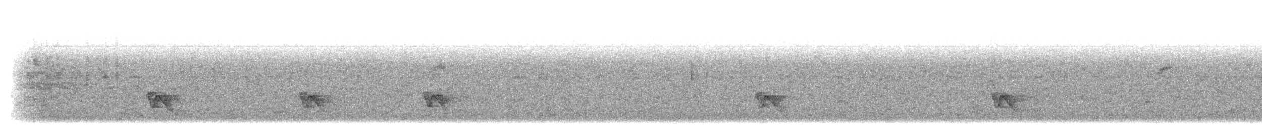 Yungas Manakini - ML643535529