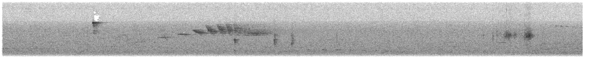 Gri Taçlı Tiranület - ML643535571