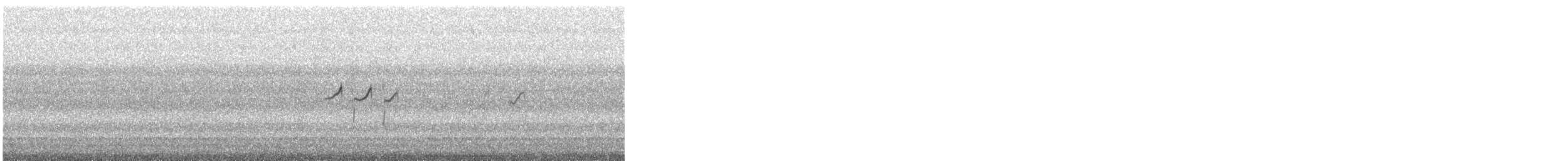 Solitary Sandpiper - ML643536024