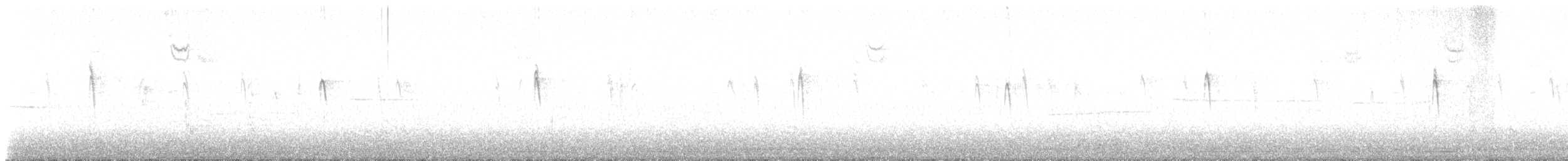 Chingolo Pantanero - ML643537138