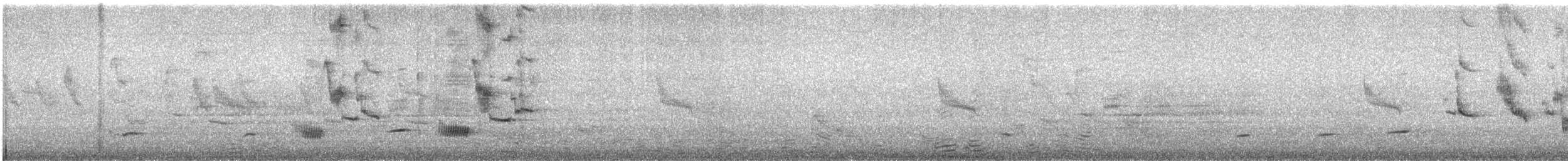 Black-collared Starling - ML643538820