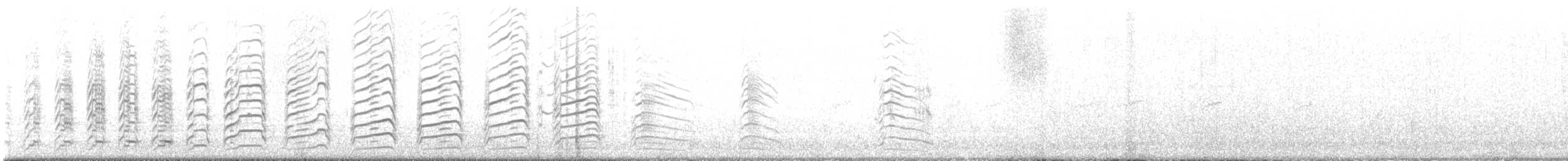 Antxeta mokogorri amerikarra - ML643538947