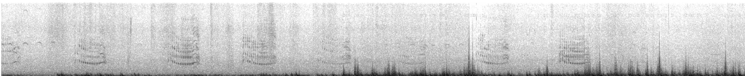 Royal Tern - ML643539010