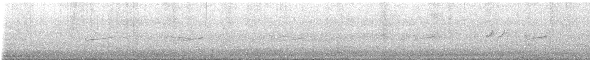 Solitary Sandpiper - ML643539245