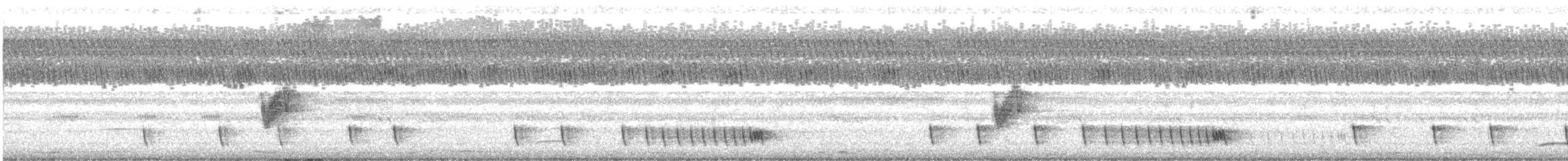 Hint Çobanaldatanı - ML643539288