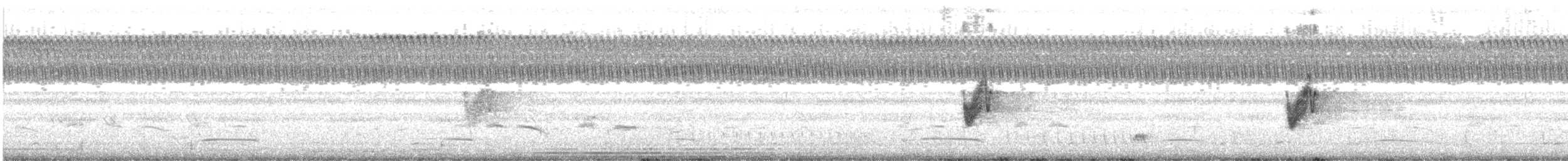 Savanna Nightjar - ML643539528