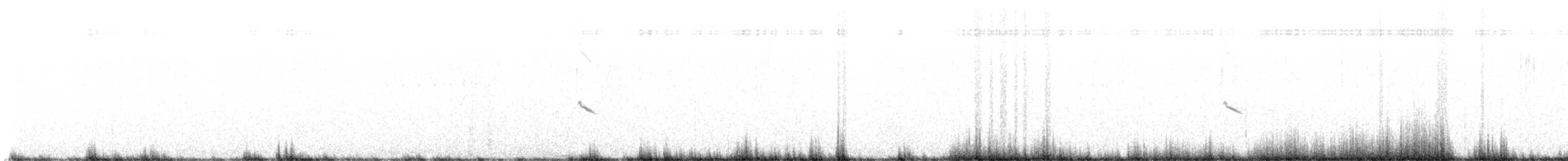 Elur-berdantza - ML643539676