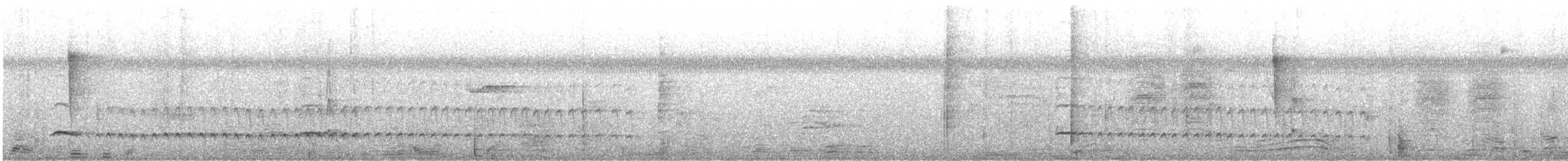 Blassrücken-Ameisenfänger - ML643541486