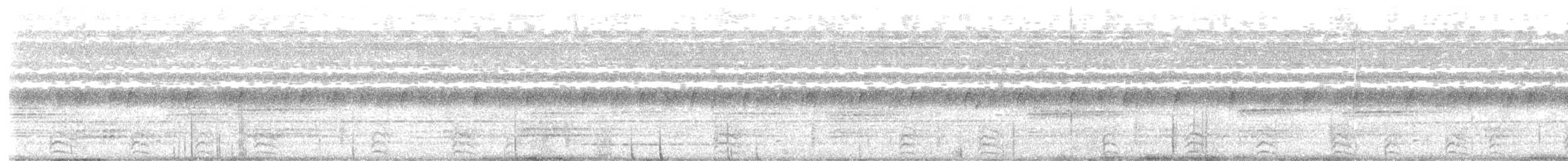 サビイロタチヨタカ - ML643541809