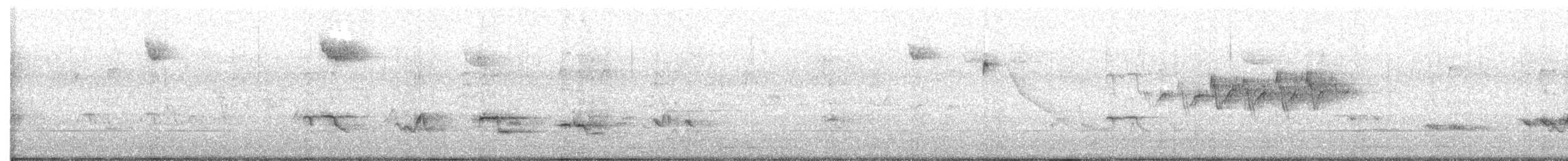 Yellow-rumped Warbler - ML643542768