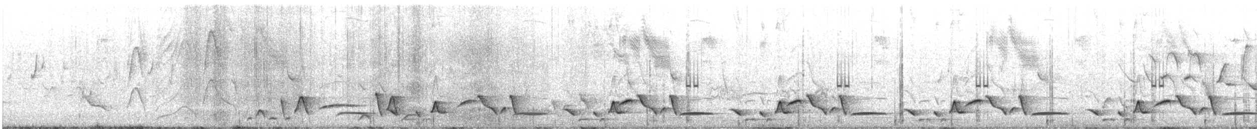 Whiskered Wren - ML643543669