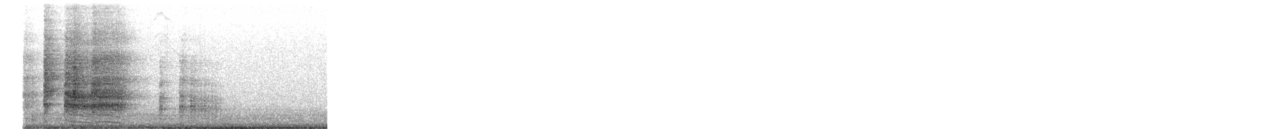 Plain-flanked Rail - ML643543765