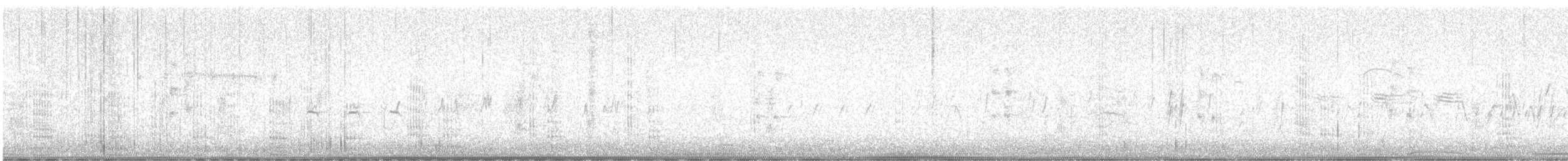 Neotropic Cormorant - ML643544207