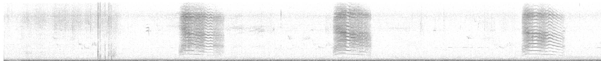 Miaulari grisa - ML643544260