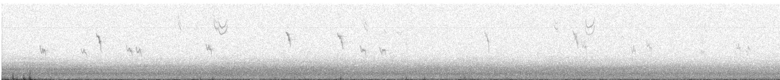 American Pipit - ML643544341