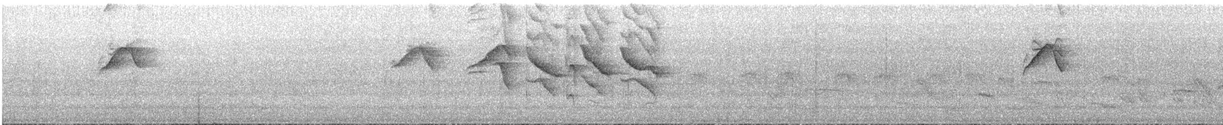 ハイガシラソライロフウキンチョウ - ML643544445