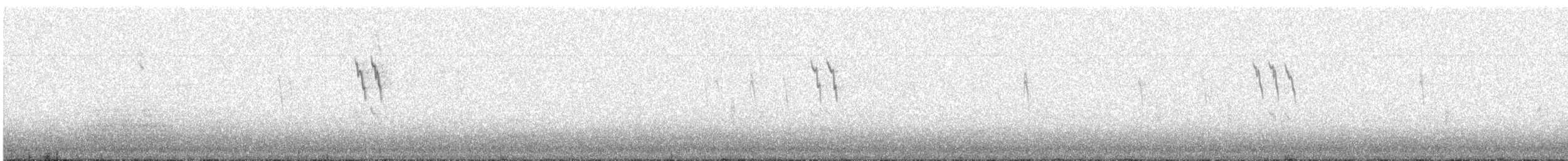 American Pipit - ML643544692