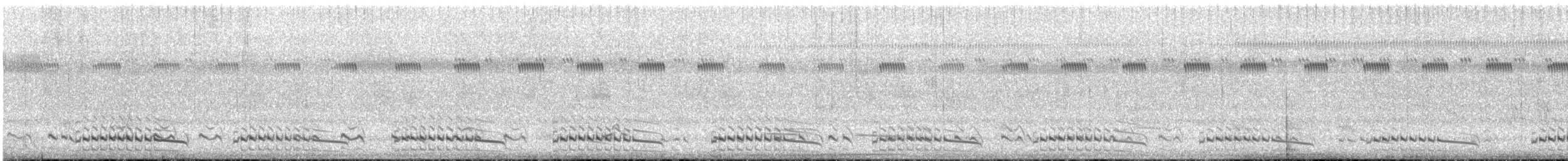Ash-throated Crake - ML643544817