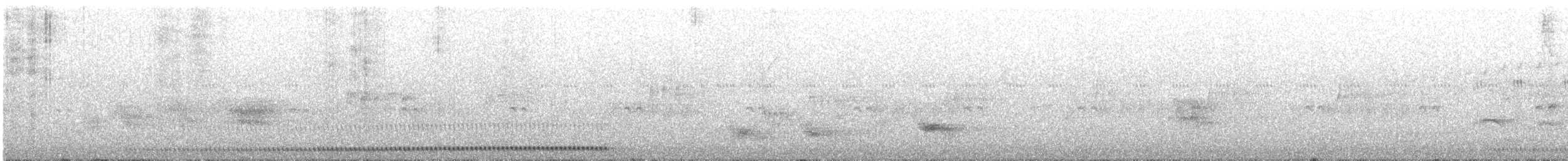 White-breasted Tapaculo - ML643545744