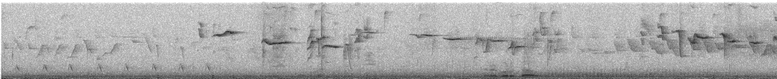 maskeblomsterborer - ML643545766