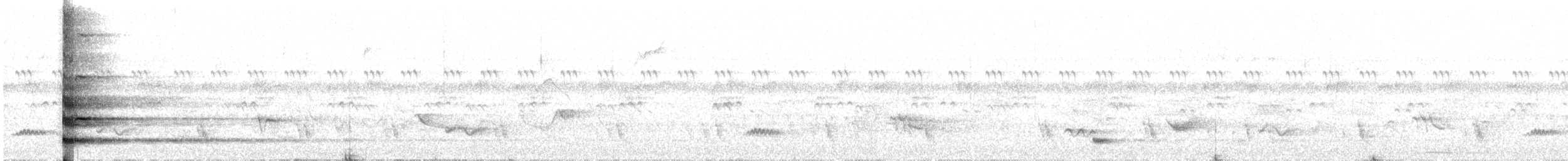 Nacktgesichtkotinga - ML643545924