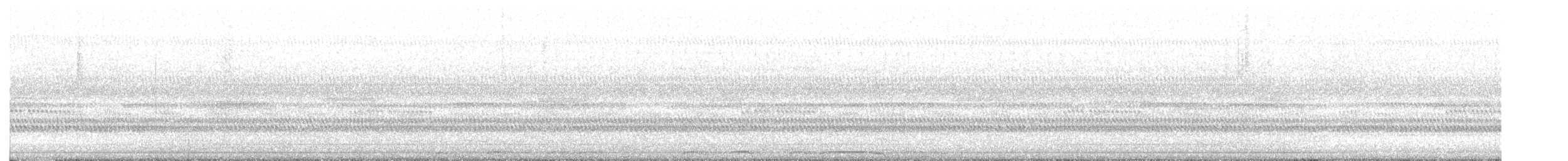 Barred Owl - ML643546344