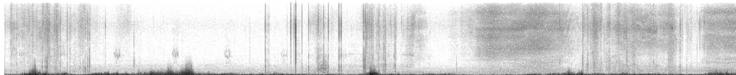 Semipalmated Sandpiper - ML643546450
