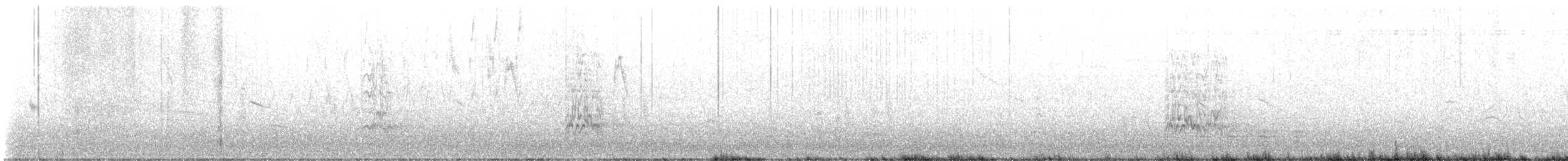 Austral Parakeet - ML643546654