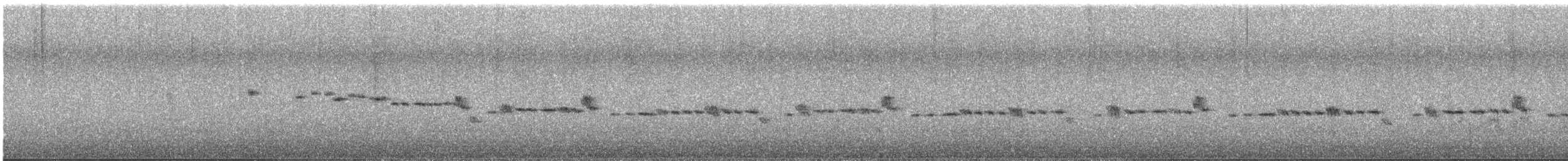 Gray Gerygone - ML643547294