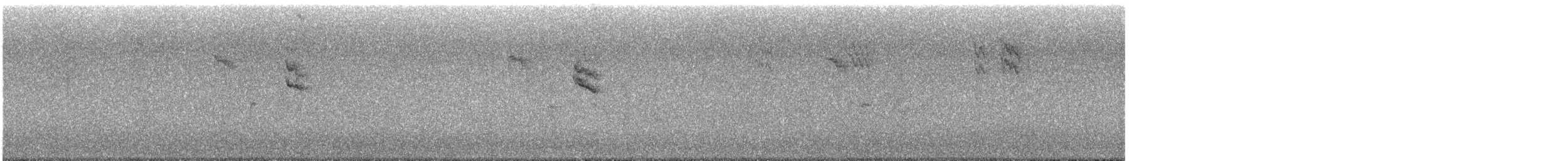 Grauschnäpper [striata-Gruppe] - ML643547432