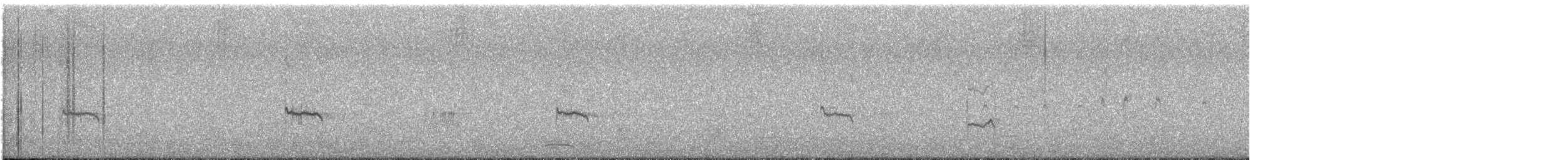 ハマシギ（alpina/centralis） - ML643547661