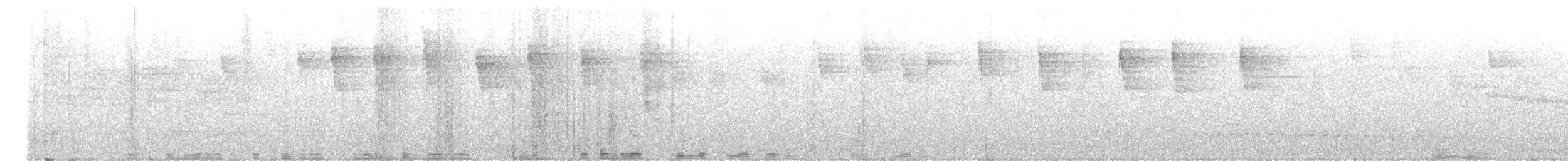 Spectacled Tetraka - ML643547762