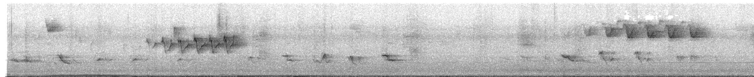 Black-and-white Warbler - ML643549353