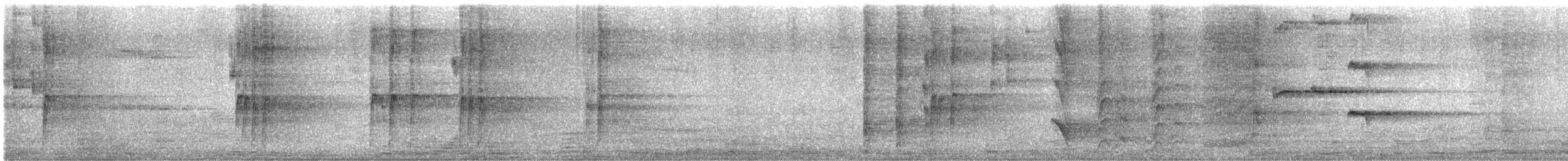 Great-tailed Grackle - ML643550696
